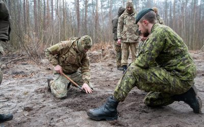 Mentor and advise: The professional development of the Armed Forces of Ukraine