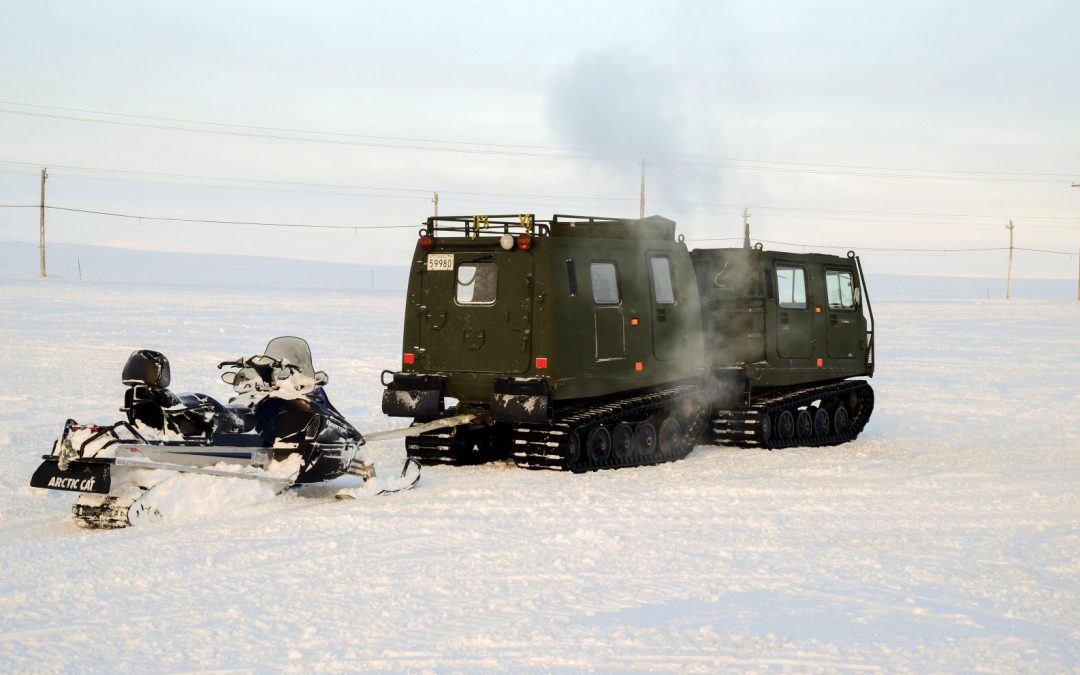 Arctic mobility makes tracks