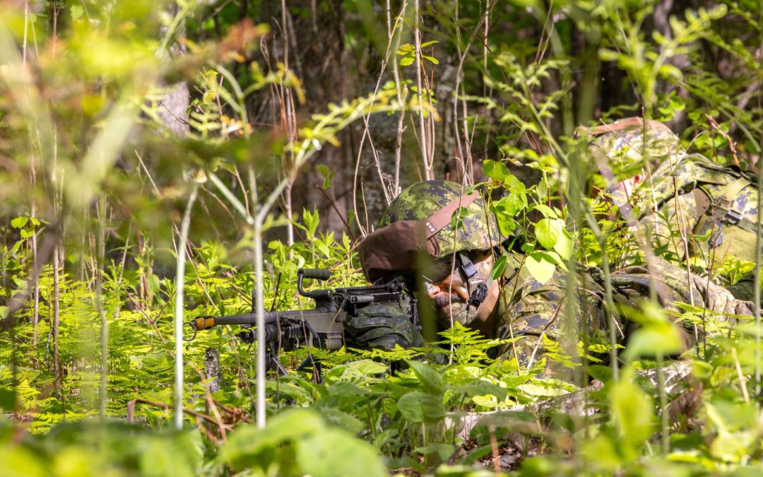 On Ex Iron Pursuit, 8th Canadian Hussars team with ACDC to sharpen dismounted tracking skills
