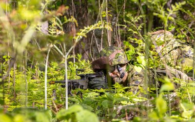 On Ex Iron Pursuit, 8th Canadian Hussars team with ACDC to sharpen dismounted tracking skills